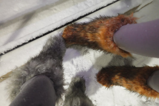 Boots With the fur